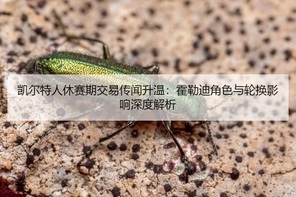 凯尔特人休赛期交易传闻升温：霍勒迪角色与轮换影响深度解析
